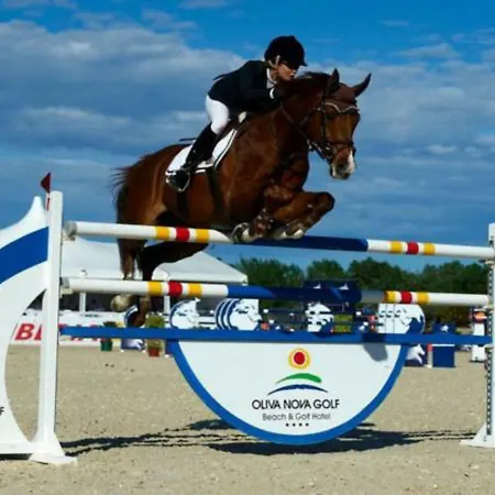 Holidays 4 度假居